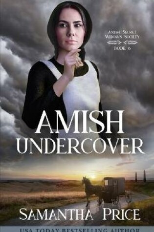 Cover of Amish Undercover