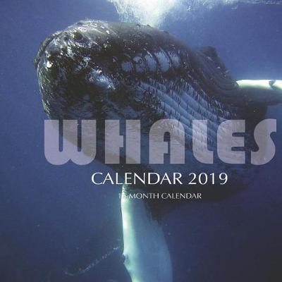 Book cover for Whales Calendar 2019