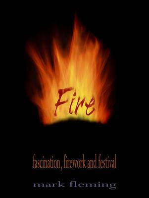 Book cover for FIRE Fascination, Firework and Festival