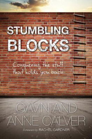 Cover of Stumbling Blocks