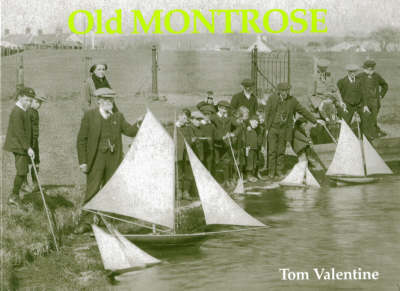 Book cover for Old Montrose