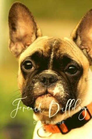 Cover of Planner July 2019- June 2020 French Bulldog Monthly Weekly Daily Calendar