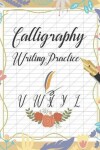 Book cover for Calligraphy Writing Practice