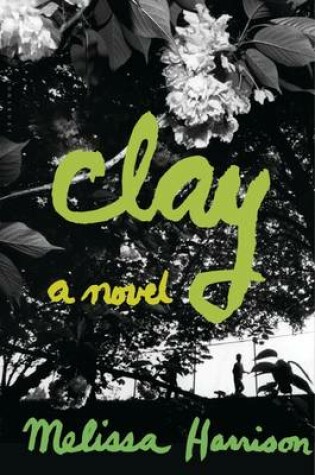 Cover of Clay