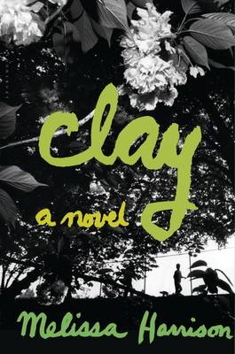 Book cover for Clay