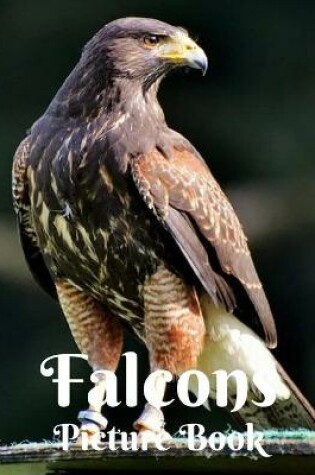 Cover of Falcon Picture Book