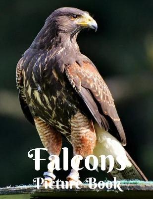 Book cover for Falcon Picture Book