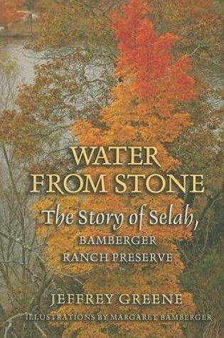 Cover of Water from Stone