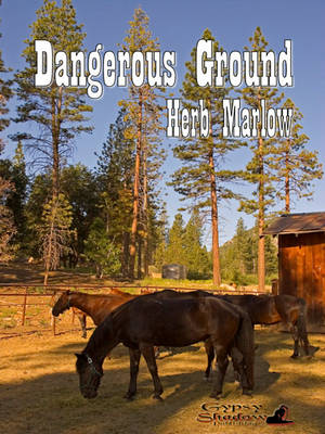 Book cover for Dangerous Ground