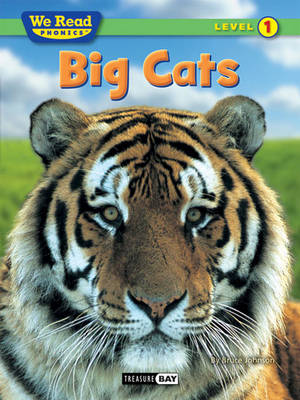 Book cover for Big Cats