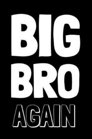 Cover of Big Bro Again