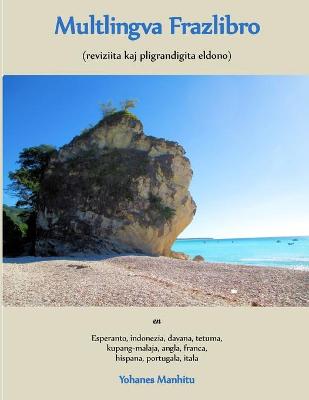 Cover of Multlingva Frazlibro