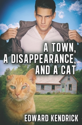 Book cover for A Town, a Disappearance, and a Cat