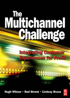 Book cover for The Multichannel Challenge