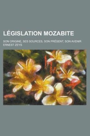 Cover of Legislation Mozabite; Son Origine, Ses Sources, Son Present, Son Avenir