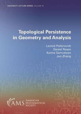 Book cover for Topological Persistence in Geometry and Analysis