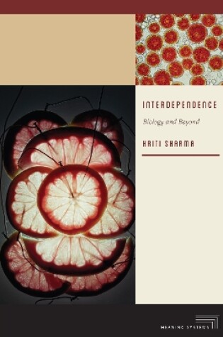 Cover of Interdependence