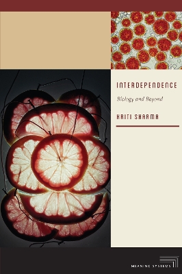 Book cover for Interdependence