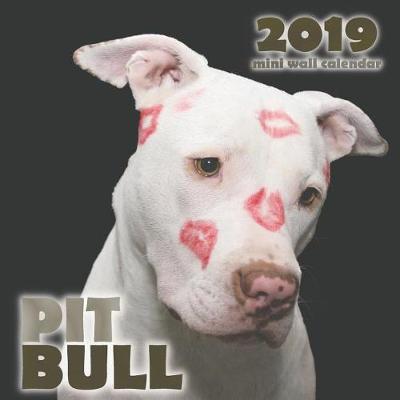 Book cover for Pit Bull 2019 Mini Wall Calendar
