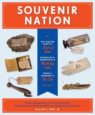 Book cover for Souvenir Nation