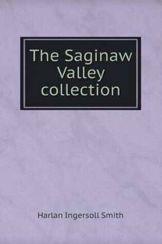 Cover of The Saginaw Valley collection