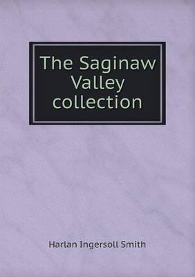 Book cover for The Saginaw Valley collection