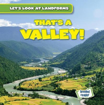 Cover of That's a Valley!