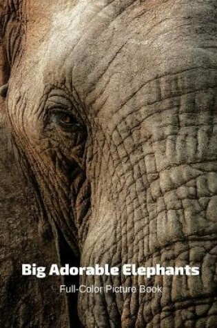 Cover of Big Adorable Elephant Full-Color Picture Book