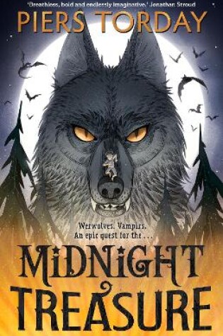 Cover of Midnight Treasure