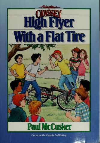 Book cover for High Flyer with a Flat Tire