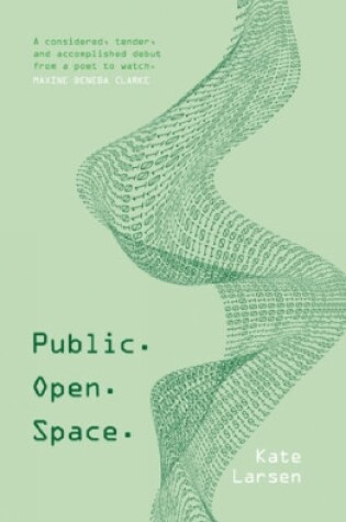 Cover of Public. Open. Space.