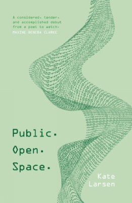 Book cover for Public. Open. Space.