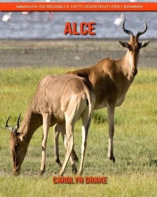Book cover for Alce