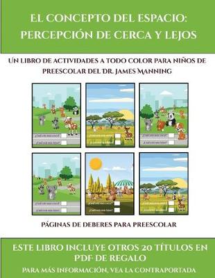 Cover of Páginas de deberes para preescolar (El concepto del espacio