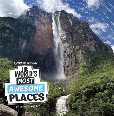 Book cover for The World's Most Awesome Places