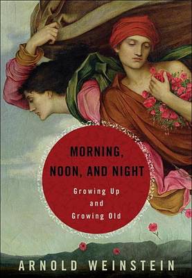 Book cover for Morning, Noon, and Night