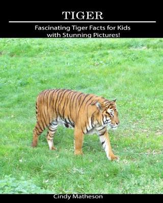 Book cover for Tiger