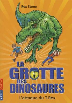 Book cover for Grotte Dinosaures N01 Attaque