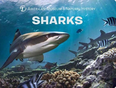 Book cover for Sharks