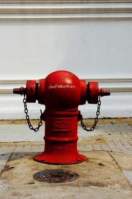 Book cover for Red Fire Hydrant in Bangkok, Thailand Journal