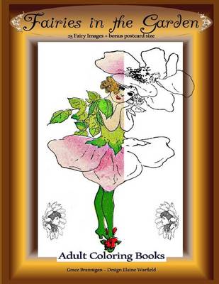 Book cover for Fairies in the Garden