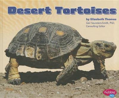 Cover of Desert Tortoises