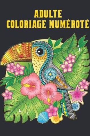 Cover of Adulte Coloriage Numéroté