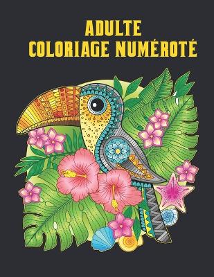 Book cover for Adulte Coloriage Numéroté