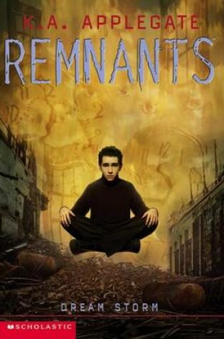 Cover of Remnants #11: Dream Storm