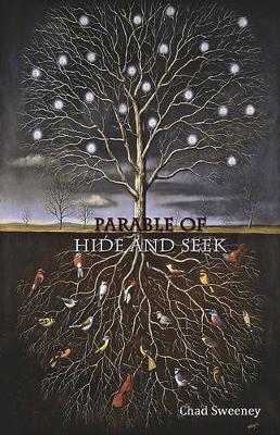 Book cover for Parable of Hide and Seek