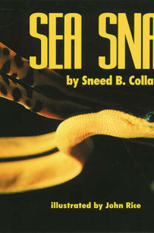 Cover of Sea Snakes