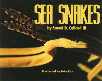 Book cover for Sea Snakes