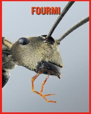 Book cover for Fourmi