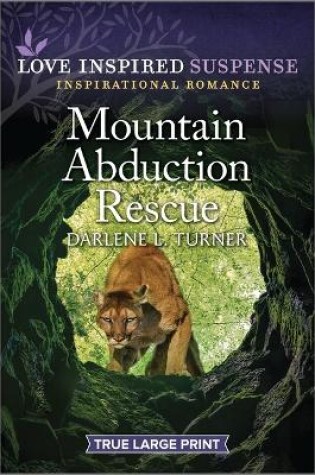 Cover of Mountain Abduction Rescue